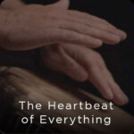 the heart of everything